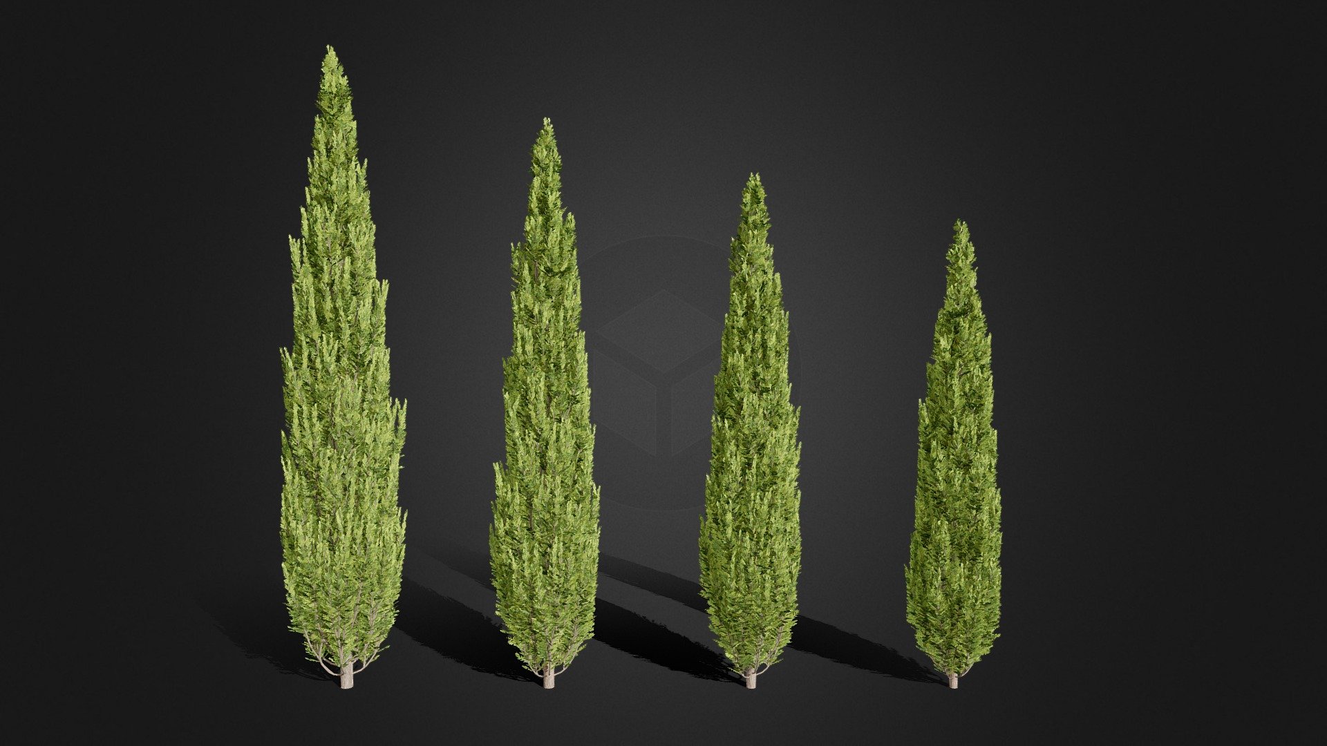 A set of 4 trees of heights: 3,1m; 2,8m; 2,5m; 2,3m
Created in Blender 2.92