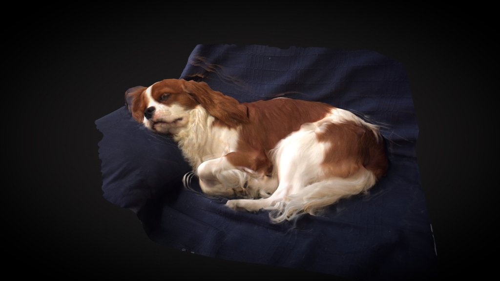 Lucky is now 10 months old!