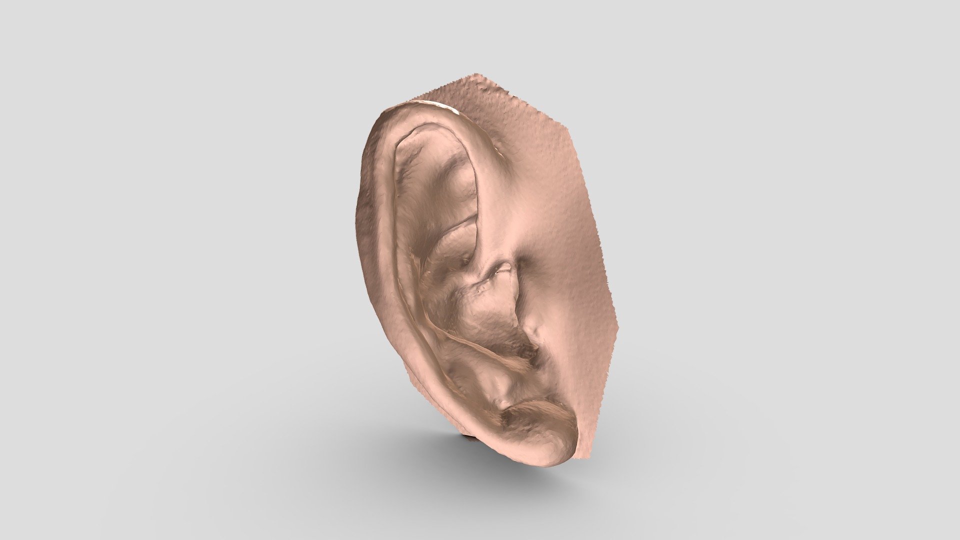 Ear scanning by Thunk3D Fisher handheld 3D scanner 

https://www.facebook.com/profile.php?id=100027655718480