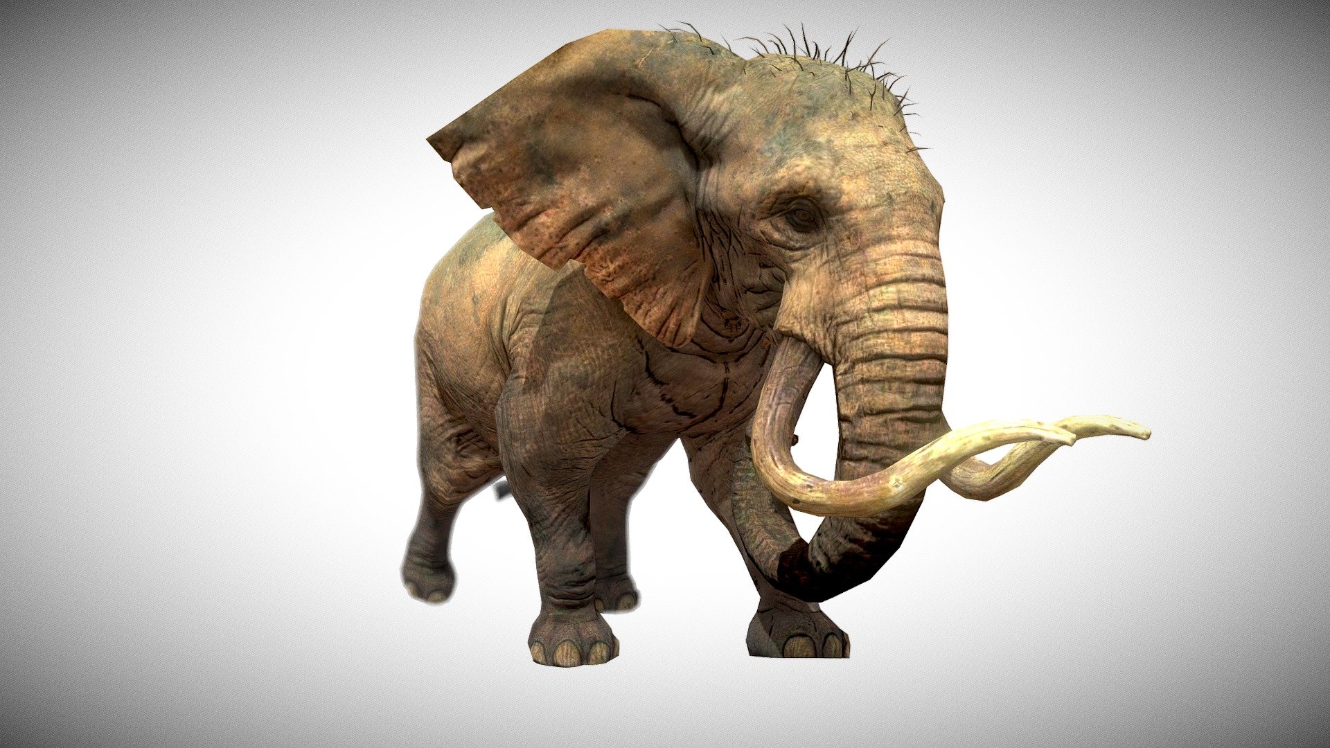 Hunting Gameready character , related animations: Walk (2 types), Idle (5 types), Attack (6 types), Die (4 Types), Run (2 types),