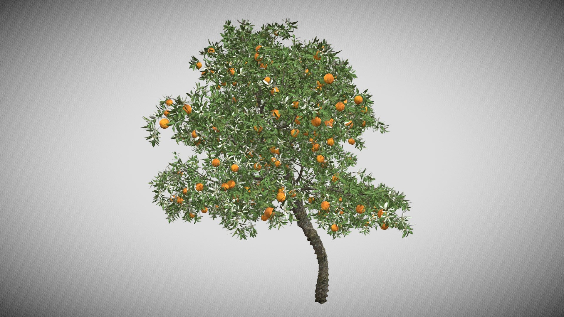Features:




Vray &amp; Corona Render Engine Ready

OBJ &amp; Max Format

3DS Max 2015

Optimized

Clean Topology

Up to 99% Quad

Unwrapped Overlapping

Real-World Scale

Transformed into zero

Grouped

Objects Named

Materials Named

Up to 4K Textures map
