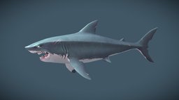 Handpainted Shark shark, fish, leagueoflegends, water, riot, stylizedcharacter, sharkcreature, handpainted, 3d, stylized, wow, noai