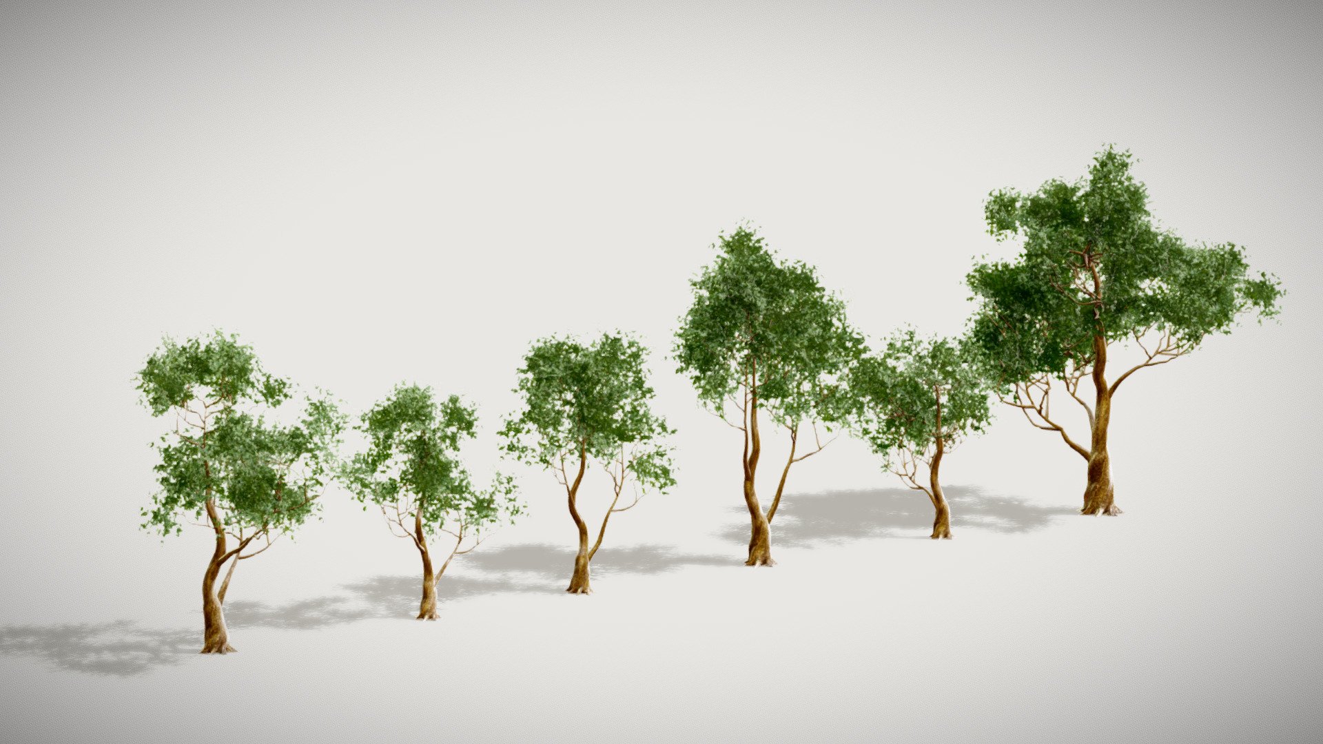 **Tree Pack 01 **




IN FBX FILE FORMAT ( version 7.5 (2016)

You can use this  Tree Pack 01  model.
easily in ur advertising or visualisation projects..

*NOTE Whenever you buy any model.
Please check the quality of the model,  UV'S and its texture size.
And if you have any kind of problem in a model.
So feel free to contact with me
**





My Email : ubros27@gmail.com




Please don't forget to rate the model, for us it is very important :)


