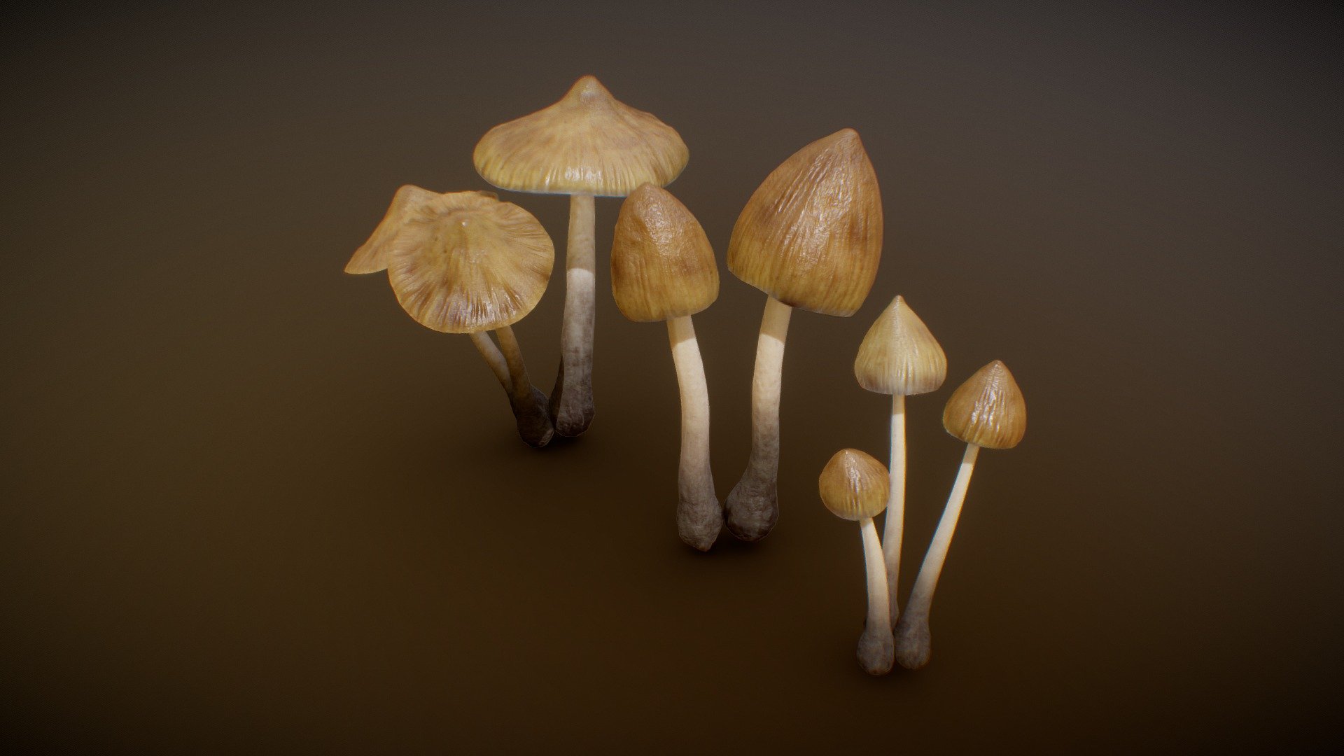 Mushrooms low poly




Ready to render in Blender3D Cycles or Eevee

FBX and OBJ formats also available.

glTF GLB format available (with packed textures sub0 with 1024x1024 sub1 and sub3 with 2048x2048)

UV unwrapped

Sculpted highpoly

Real World Scale

Units: metric

Dimensions: ~ 3 cm x 3 cm x 9 cm (small)

~ 5 cm x 5 cm x 17 cm (medium)

~ 10 cm x 10 cm x 18 cm (big)

Materials and textures included.

Configurable Materials in Blender file

PBR Textures (diffuse, glossiness, roughness, specular, normal, height)

Textures resolution: 1024x1024, 2048x2048, 4096x4096

Polygonal count per mushroom:

(the stem and the cap are not connected together)

basemesh (blender file) 356 faces

sub0 112 faces

sub1 1424 faces

sub3 22784 faces

