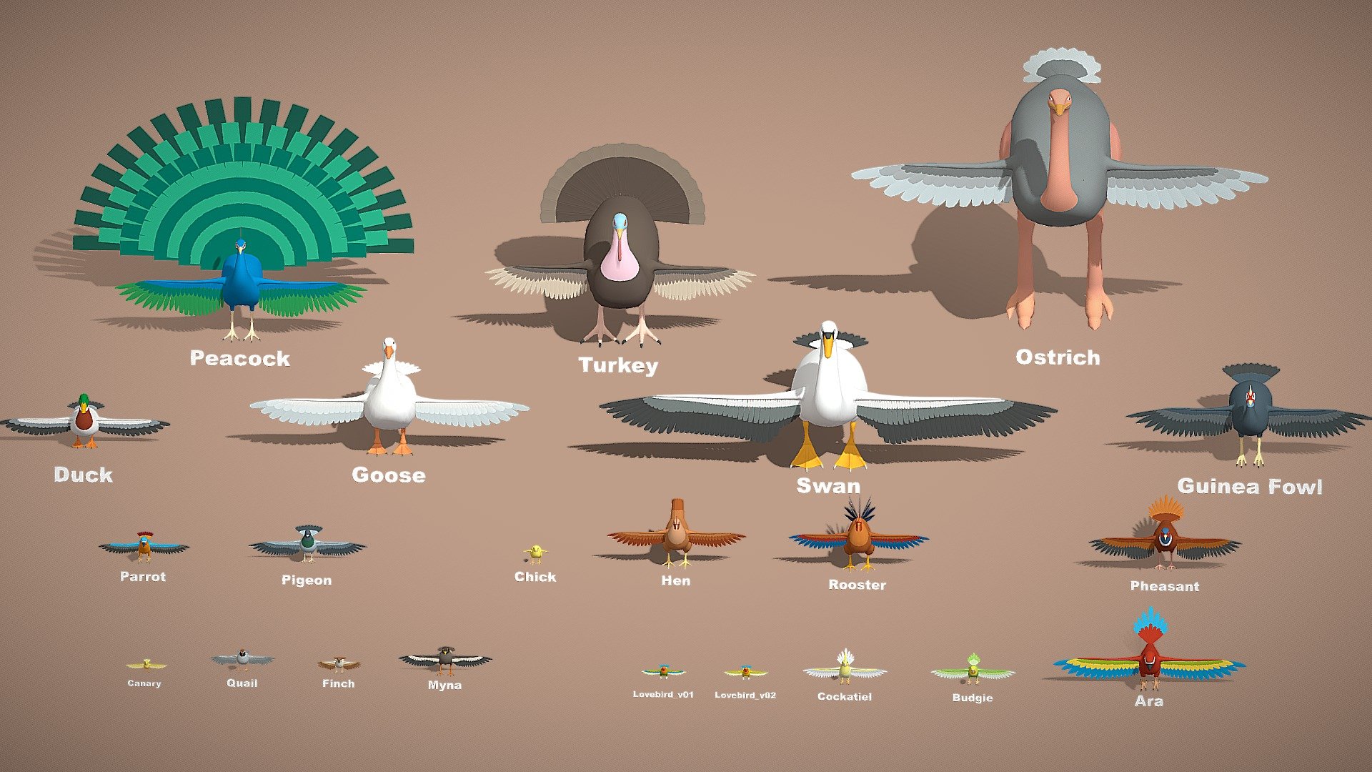 Hello from PolyOne Studio!
Introducing a collection of 22 popular bird species in a charming low-poly cartoon style. Perfect for games, animations, cartoons, and 3D printing projects. This ready-to-use pack helps save production time while bringing life and variety to your scenes. We’d love to see these birds become part of your next project! 



Features:





Clean quad-only topology 

Accurately scaled

Even quad distribution

Consistent loop-cut density 

Detailed facial and limb features

Low-poly optimized

Simple color materials 

UV mapped and ready for rigging

Follow us, new packs coming out, updates, promotions &amp; tutorials:





Official Site: polyonestudio.com




Email: polyone.studio@gmail.com




For support, questions, or custom requests, feel free to contact us anytime. We truly appreciate your feedback and support. Thank you!
