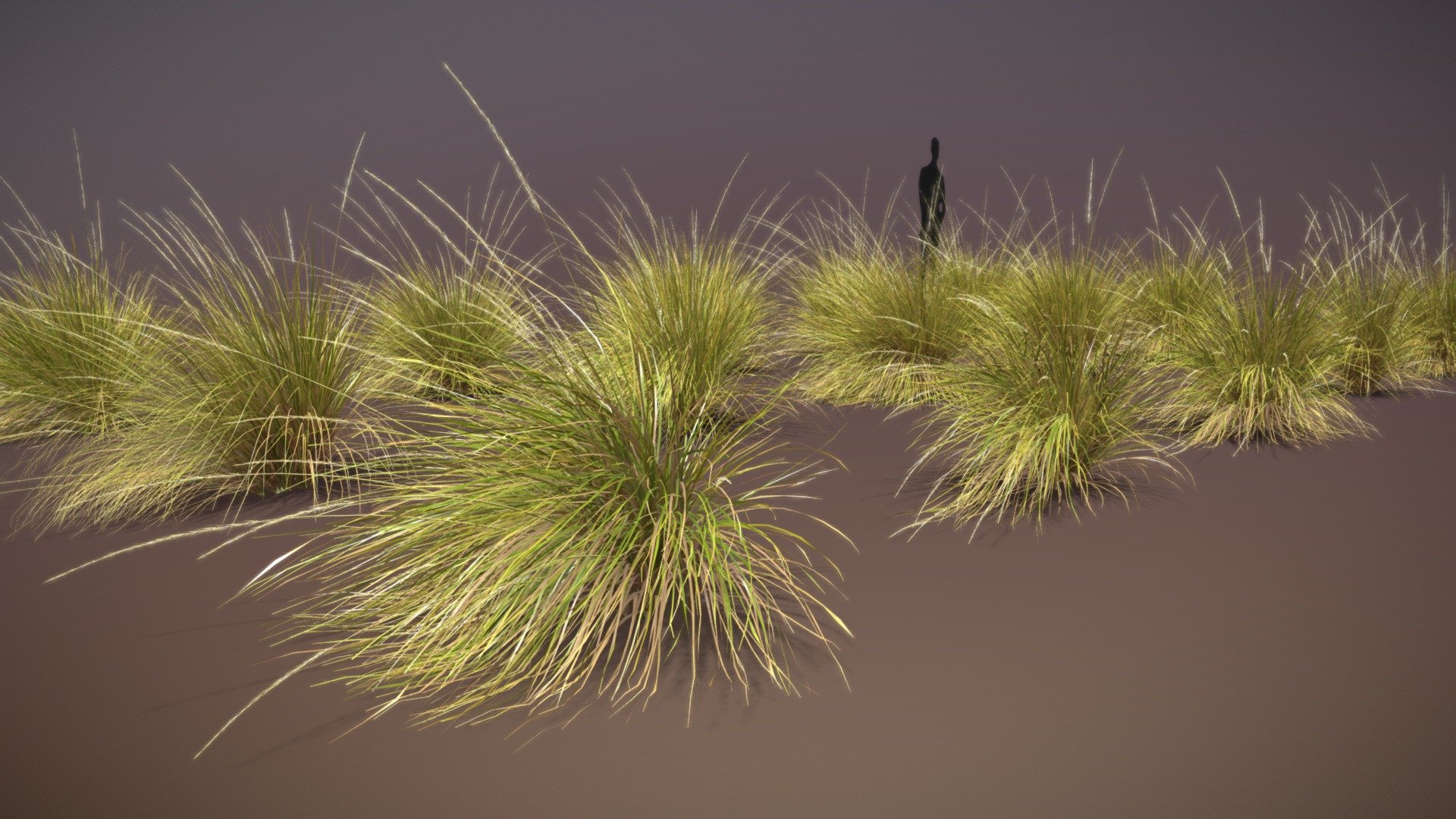 A set of 15 plants for exterior archviz, for someone, who needs highly detailed models, with geometry based on mesh instead of alpha maps.

Model created in Blender 3.0, with basic tools so it woorks with previous versions. Checked with latest stabile wersion of 2.83.


based on Festuca Mairei in autumn vegetation state

UV-unwrapped

mesh based on quads

custom, baked textures

File organized for use with particle system and for linking objects - it contains colection with all 15 pieces, and individual collection for every plant (for linking)

additional formats: fbx, obj, dae

native Blender file, and textures in other formats folder
