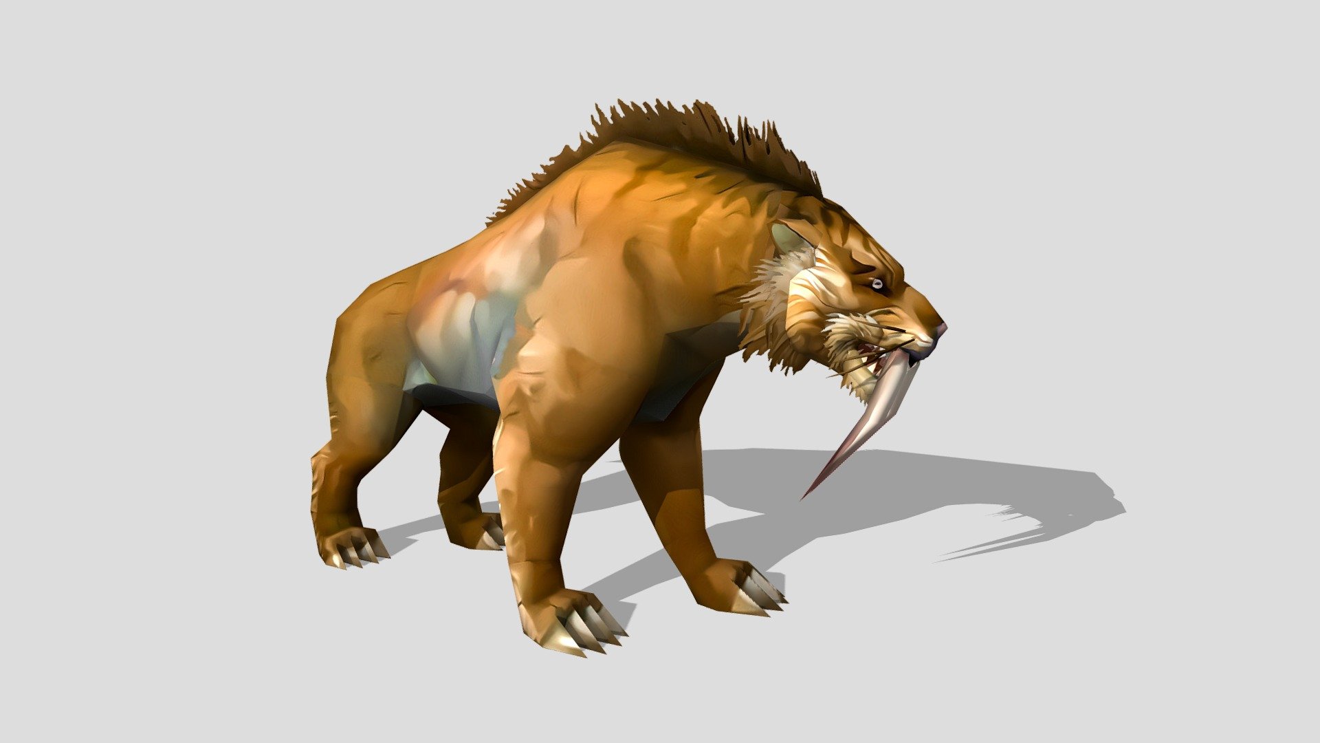 Sabretooth Tiger.
9 smooth animations.
low polygon, ready for game.
1024x1024 diffuse texture.