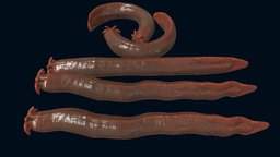 Hagfish fish, slime, hagfish, creature, animation, sea, noai
