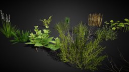 Ground Cover Foliage Asset Pack world, virtual, landscape, grass, assets, scenery, textures, cover, ground, pack, reed, development, obj, fern, outdoor, foliage, fbx, realistic, nature, environmental, assetpack, format, grass-type, twigs, 2ktextures, cattails, modeling, asset, game, blender3d, design, digital, textured, environment