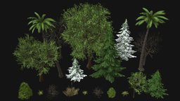 Plant- Vegetation Pack LowPoly trees, plants, flora, palm, ready, vegetation, bush, bundle, swamp, fir, greenery, shrubs, herbs, verdure, grasses, game, lowpoly, low, poly, gameready, plants-pack, bundle-pack