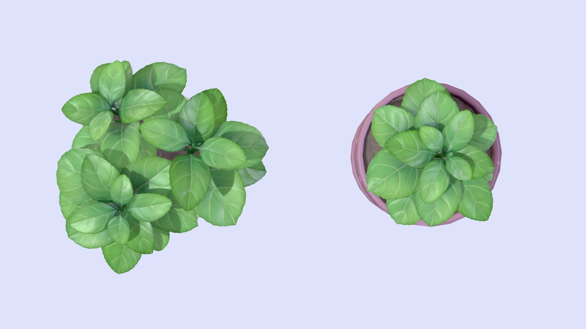 Low poly basil plants for my kitchen environment project.

Modeled in Blender &amp; Zbrush, textured in Substance 3d Painter.