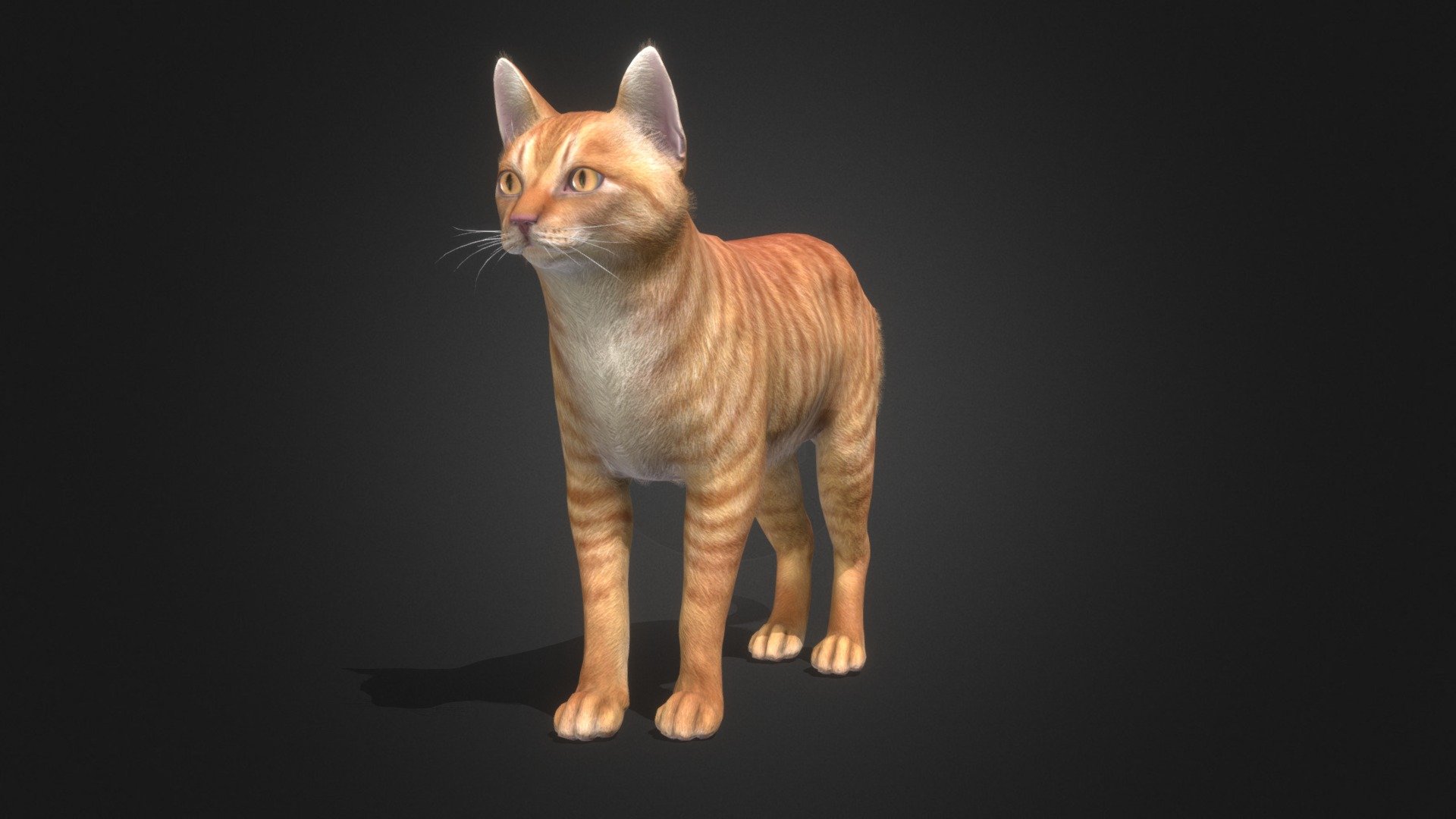 Simple cat model with 100 IP/PM animations and 6 colors. In the attached archive you will find all files with animations.
If you have any questions, please email me.