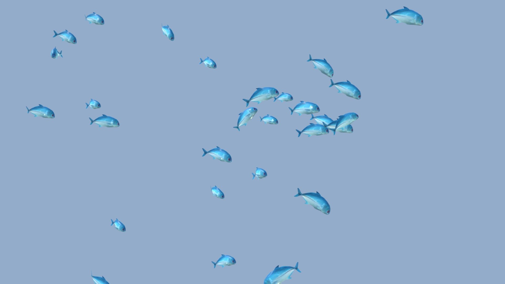 
 https://www.fab.com/sellers/Mikhail%20Nesterov

Before purchasing this model, you can free download Emperor Angelfish and try to import it. 



School of fish animated in a loop.

The school of fish contains 30 fish. 

The fish created in Maya. 

All Fish Animated in the loop duration 36 sec.



This is a 2.0 version

this SchoolingFish has the following changes:

1. There are include two new type of textures (Normal, Metallic).

2. Increased texture resolution to 1024 x 1024 px.

3. Redesigned rig. Added root a bone in each fish-rig. Changes have been made to the Scale Settings of bones. This led to involuntary deformations of the mesh.



If for some reason you do not have these changes, please email me

Dear Blender Users If you have any problems importing into a Blender, please email me, this problem is solved. To contact me use the link in the top right corner of my main Sketchfab page (LinkedIn or Behance).