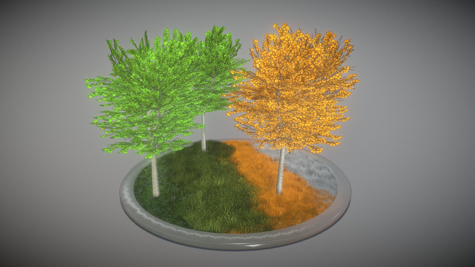 Here are some 6-meter-high tilia trees in four seasons.