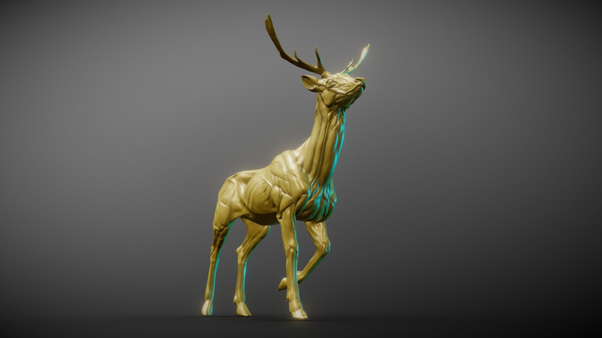 High poly 3d model of a Ethiopian Fawn Deer created in Zbrush. 
Model watertight and can be printed. Additional stl file format.
Hope you like it.
