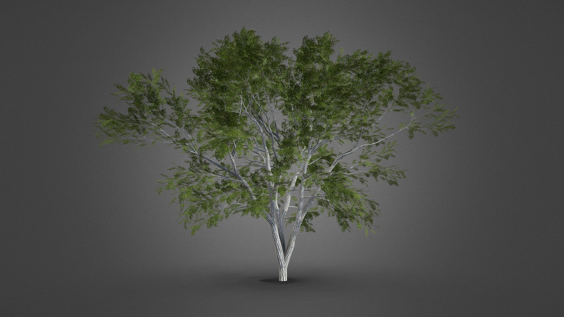 This model is made with blender. It is free to download, you can use it in your projects.