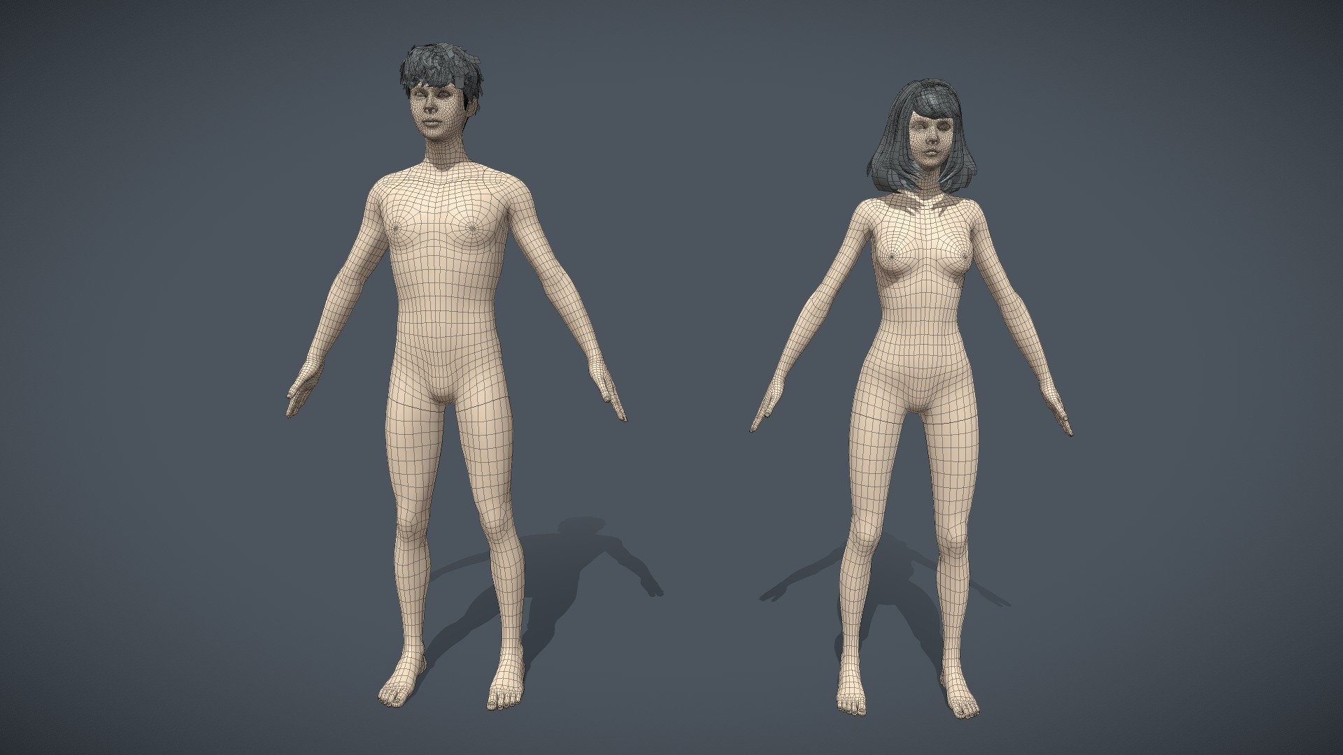 Hello from PolyOne Studio!
Introducing the Asian Male &amp; Female Base Mesh Pack, carefully designed with proportions inspired by real Asian anatomy to provide a strong foundation for character creation.
Perfect for games, films, animations, and other 3D projects, helping you create authentic characters while saving valuable production time.


Buy Now


Features:





Anatomy suitable for Asians

Optimize polygon ready for rigging stage

UV available, hair is UV combed in plan alpha mesh form

Follow us, new packs coming out, updates, promotions &amp; tutorials:





Official Site: polyonestudio.com




Email: polyone.studio@gmail.com




For support, questions, or custom requests, feel free to contact us anytime. We truly appreciate your feedback and support. Thank you!