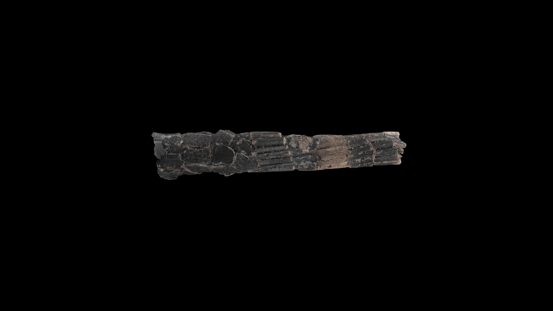 

Oligotricha fluvipes

Size:30mm

Architecture by Caddis larvae



Micro Photogrammetry

Generated by SfM method using thousands of photos

https://www.stulab.jp
