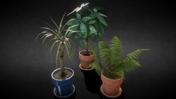 [Set] Indoor plants with flower pots plant, plants, set, pots, indoor, pottery, collection, props, nature, saucers, combined, game-asset, interior-design, asstes, props-assets, props-game, leafes, plant-pot, indoor-plant, gameasset, home, decoration, interior, gameready, indoor-plants