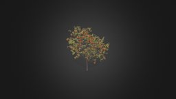 Peach Tree with Fruits 3D Model 3m tree, plant, fruit, orchard, vegetation, foliage, farm, nature, peach, agriculture, leaves