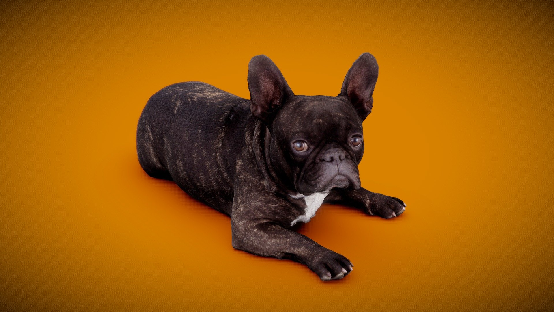 3d-dog-scan using photogrammetry technique // more poses and packages avaiable  https://skfb.ly/o9p9z




4K DiffuseColorTexture

3d-ScanService: https://www.optimission.de

NoAI: This model may not be used in datasets for, in the development of, or as inputs to generative AI programs.