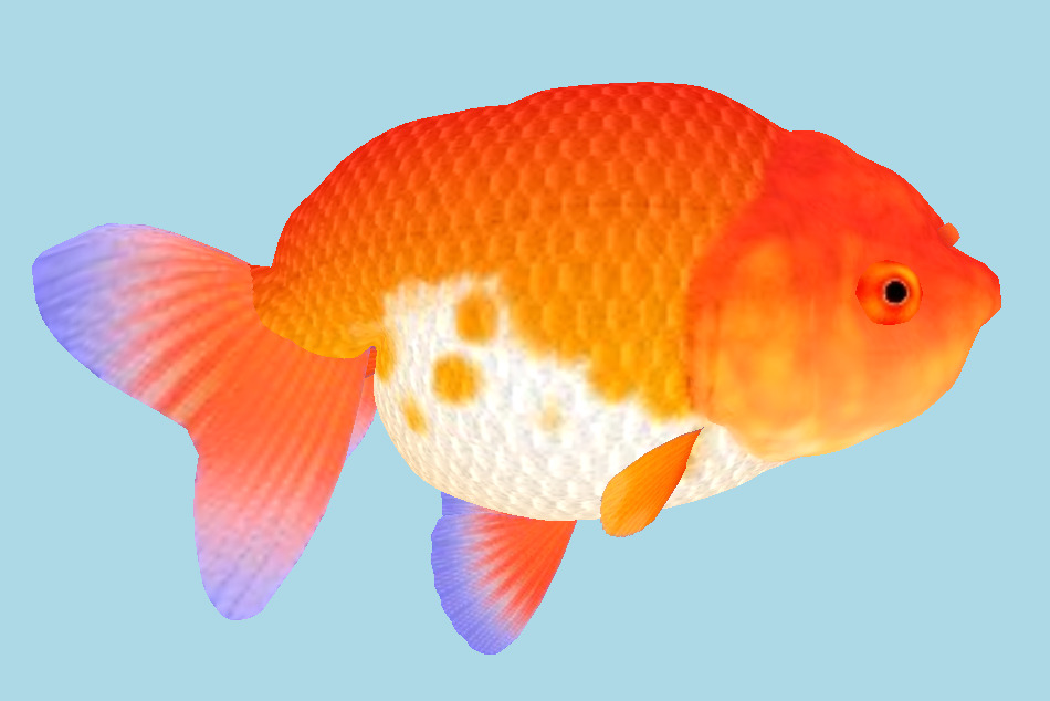 Fish 3d model