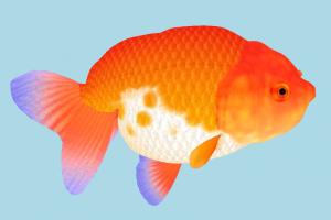 Fish Fish