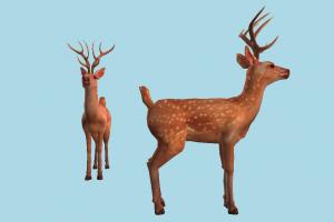 Deer deer, gazelle, elk, reindeer, animal, animals, wild, nature, cartoon