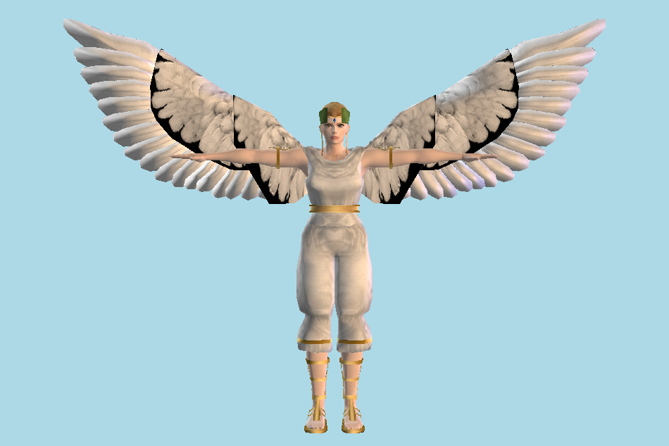 Tekken Angel Tag Tournament 3d model