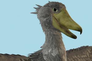Shoebill Shoebill-2