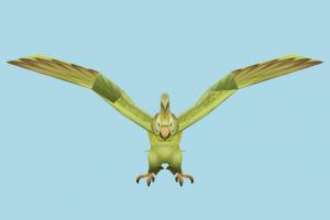 Parrot Parrot