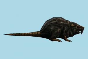 Rat Rat