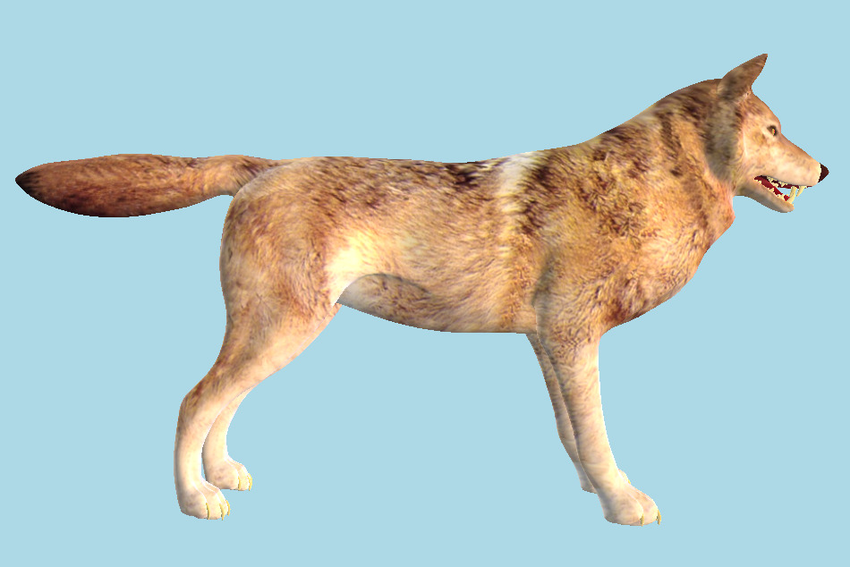 Wolf 3d model