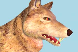 Wolf Wolf-2