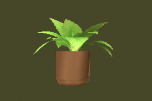 Plant houseplant, plant, plants