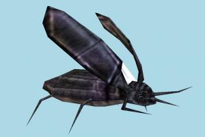 Cockroach Cockroach