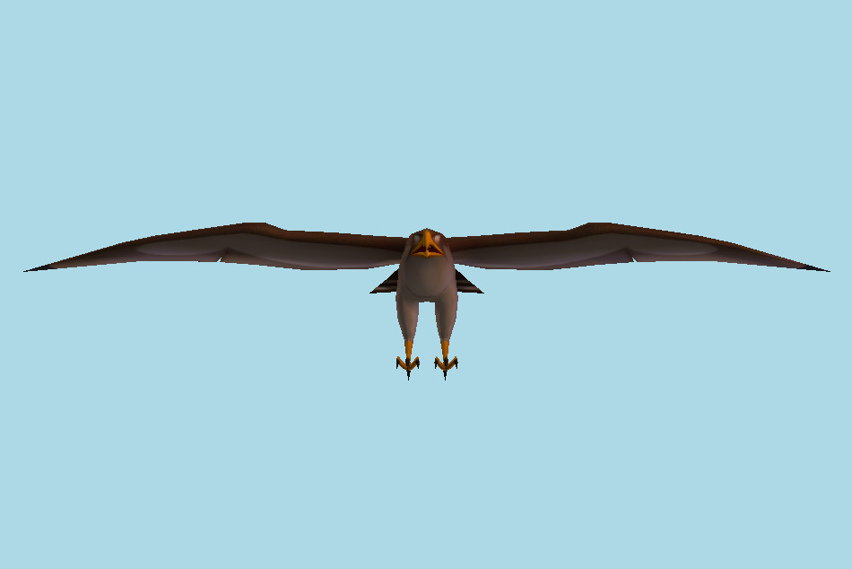 Hayabusa Bird 3d model