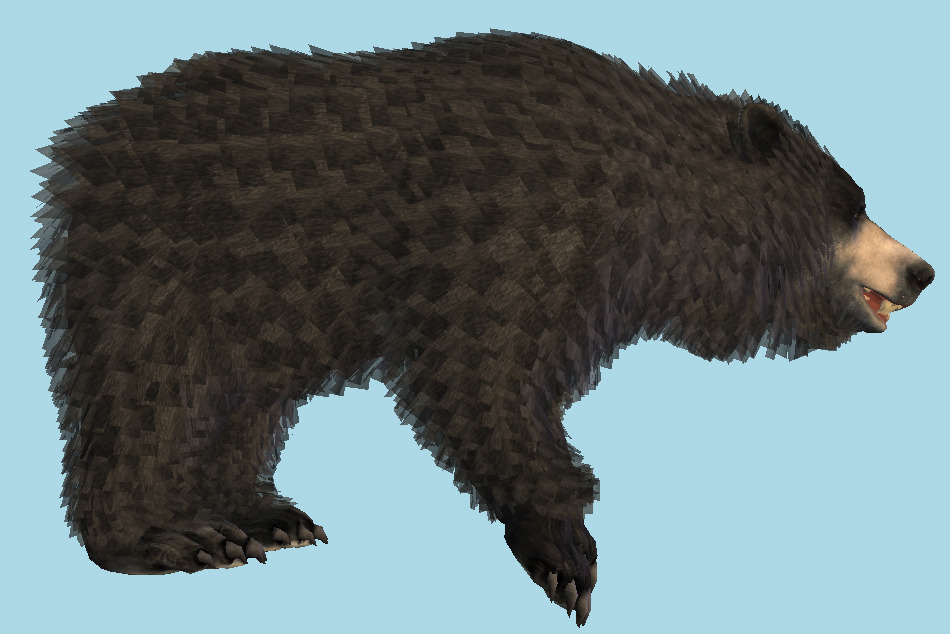 Bear Animal 3d model