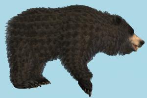 Bear bear