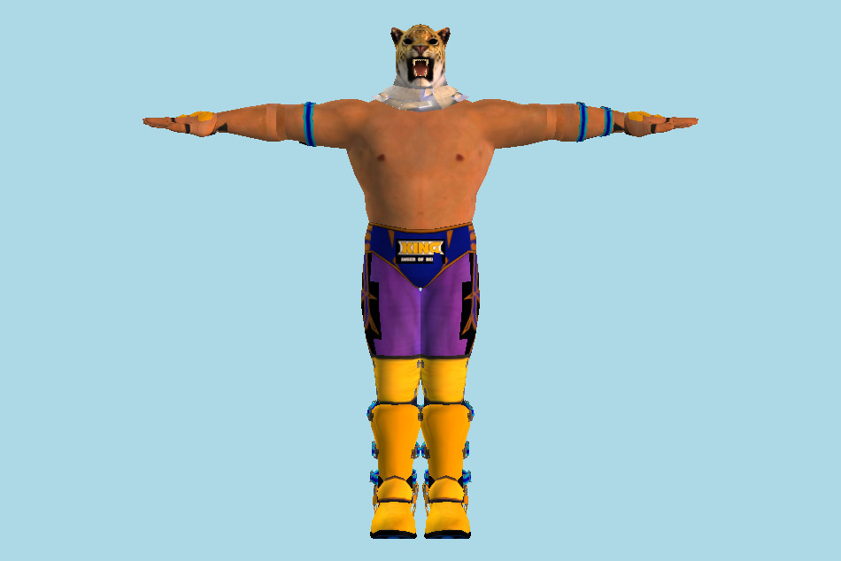 Tekken 6 King 3d model
