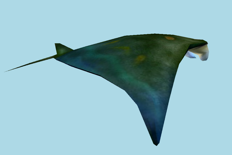 Manta Fish 3d model