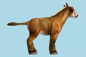 Calf Calf