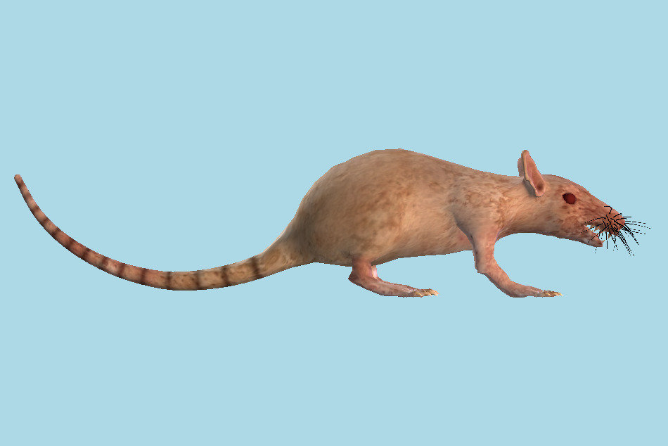Monster Rat 3d model