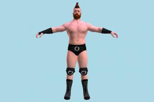 Sheamus WWE wwe, wwf, wcw, wrestler, man, male, people, human, character