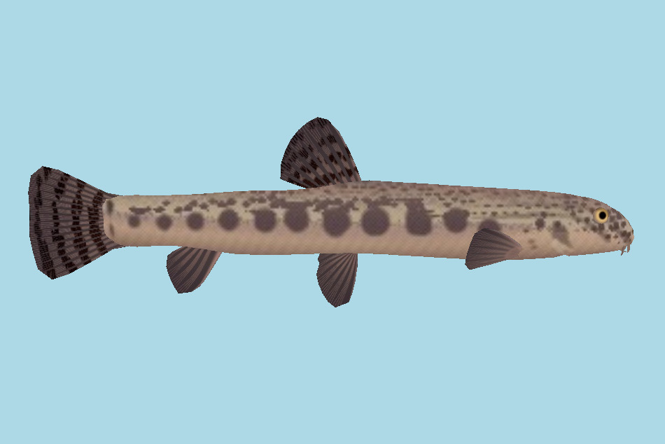 Fish 3d model