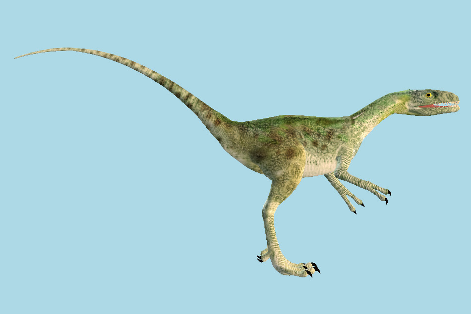 Dinosaur 3d model