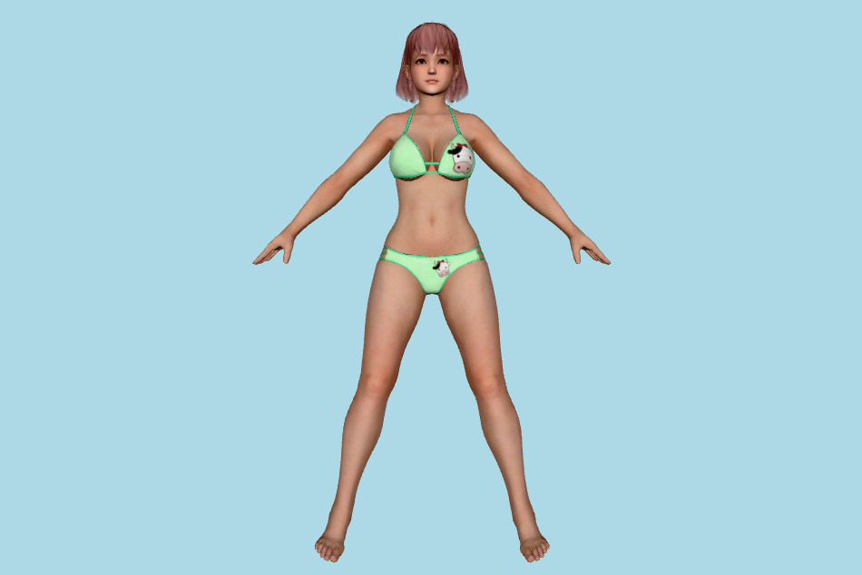 Dead or Alive 5 - DOA5LR Delicious Girls 3d model