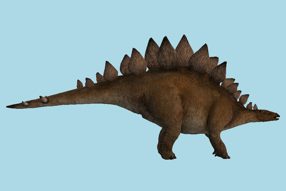 Stegosaurus 3d model
