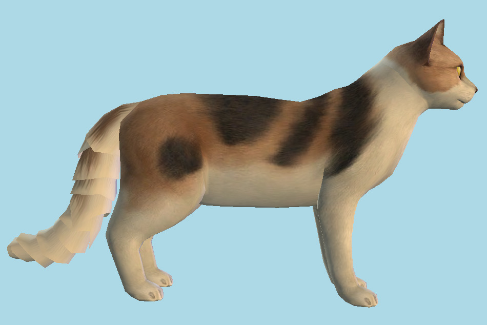 Cat 3d model