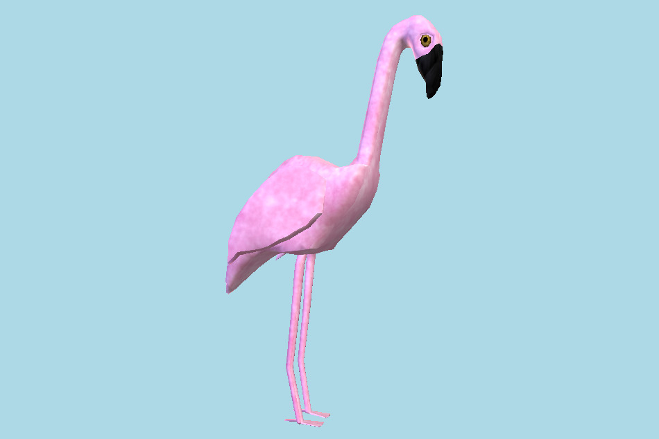 Flamingo 3d model